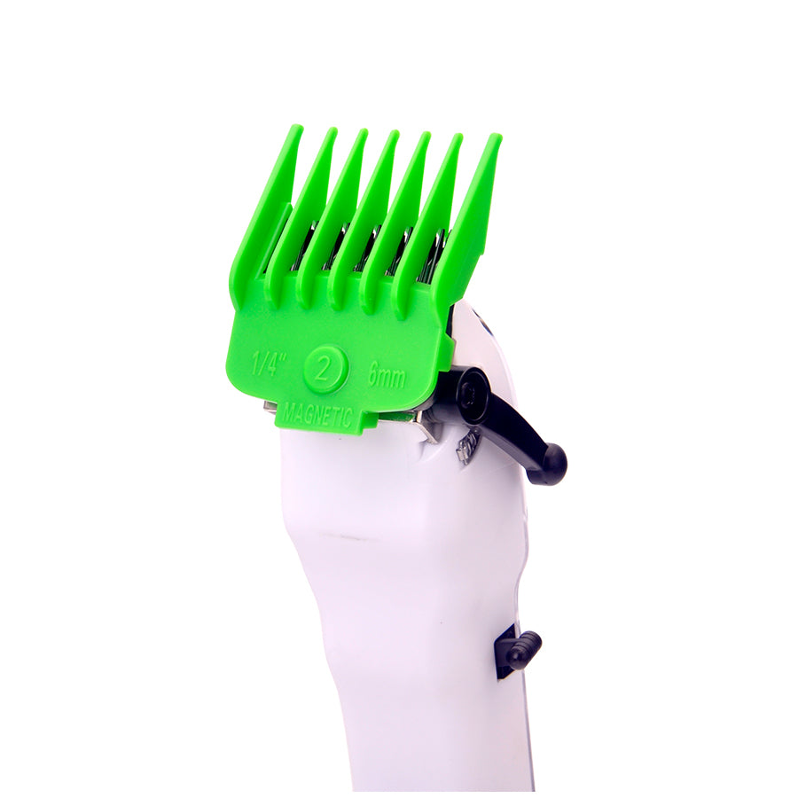 ACCESSORY_LISTING_TEMPLATE_7