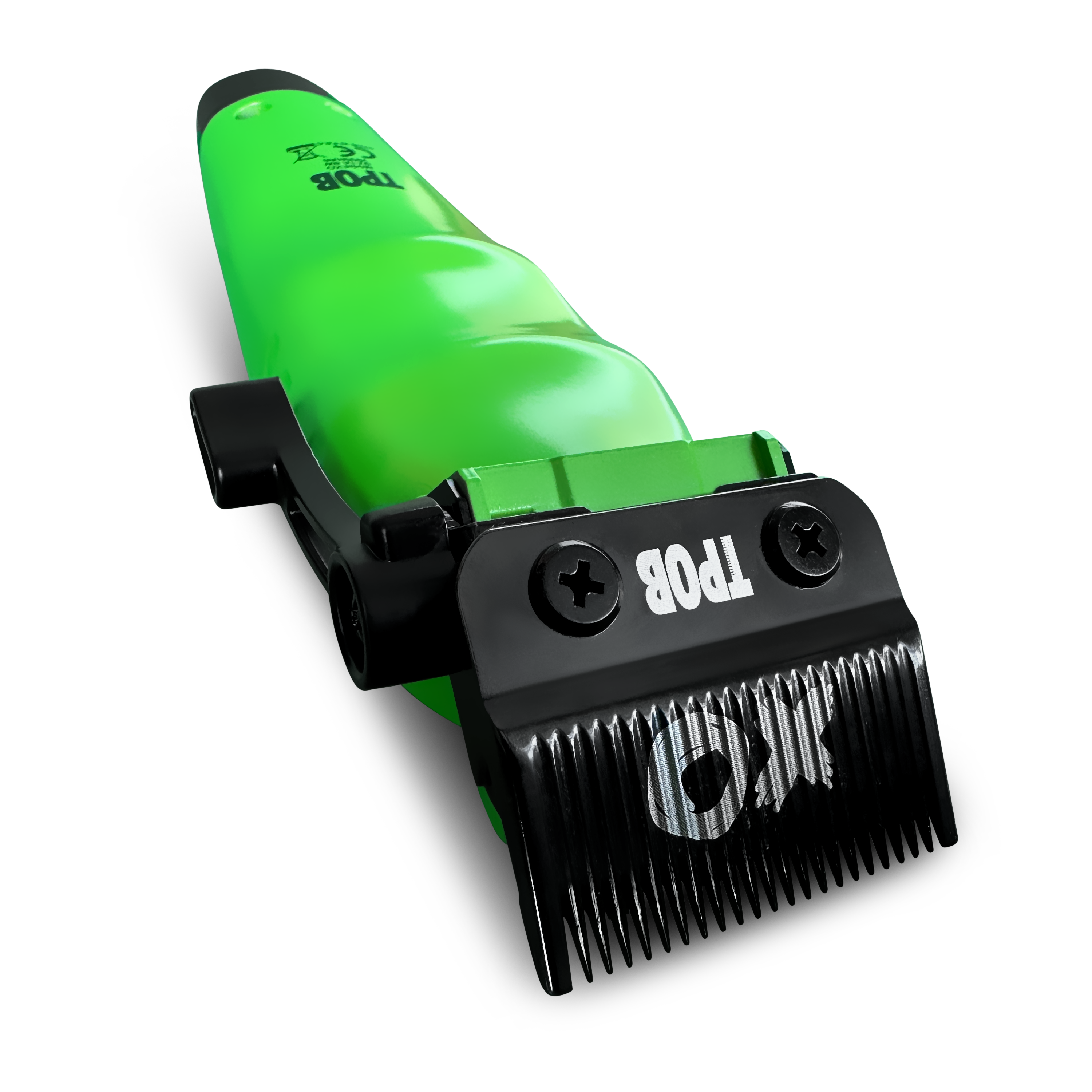 D17D0B86-D7D0-4CC3-9574-AC60F0CE30FA_2copy