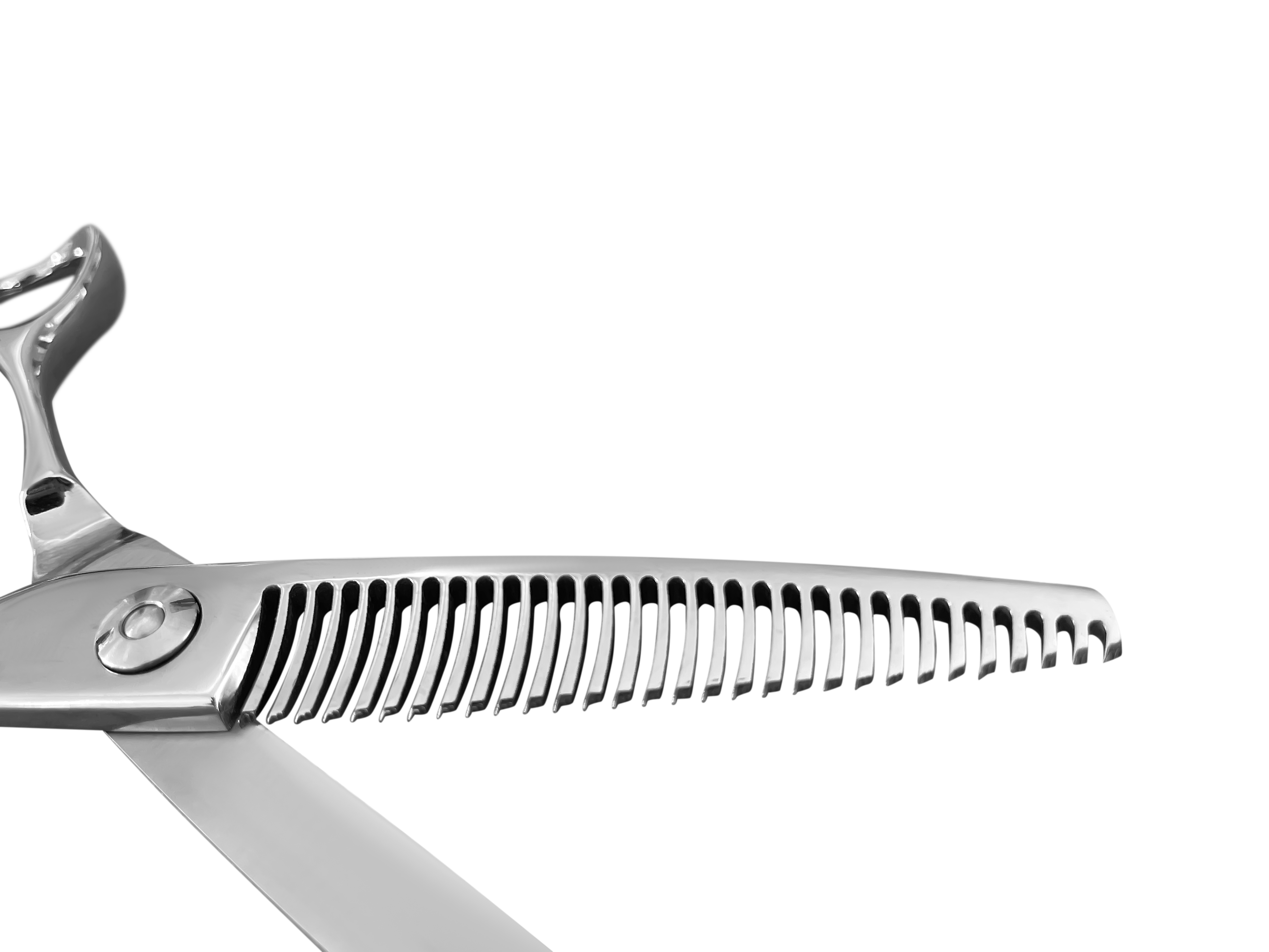 Attachment_1642494364_40_copy